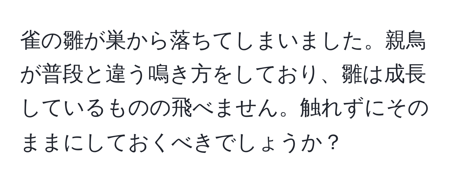 雀の雛が巣から落ちてしまいました。親鳥が普段と違う鳴き方をしており、雛は成長しているものの飛べません。触れずにそのままにしておくべきでしょうか？