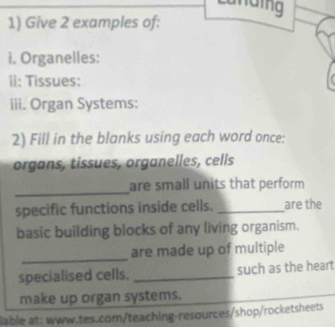 laing 
1) Give 2 examples of: 
i. Organelles: 
ii: Tissues: 
iii. Organ Systems: 
2) Fill in the blanks using each word once: 
organs, tissues, organelles, cells 
_ 
are small units that perform 
specific functions inside cells. _are the 
basic building blocks of any living organism. 
_ 
are made up of multiple 
specialised cells. _such as the heart 
make up organ systems. 
lable at: www.tes.com/teaching-resources/shop/rocketsheets