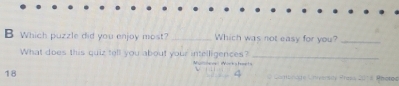 Which puzzle did you enjoy most? _Which was not easy for you?_ 
What does this quiz tell you about your intelligences? _
18
4
20° Hhoteo