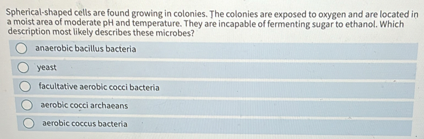 Spherical-shaped cells are found growing in colonies. The colonies are exposed to oxygen and are located in
a moist area of moderate pH and temperature. They are incapable of fermenting sugar to ethanol. Which
description most likely describes these microbes?
anaerobic bacillus bacteria
yeast
facultative aerobic cocci bacteria
aerobic cocci archaeans
aerobic coccus bacteria