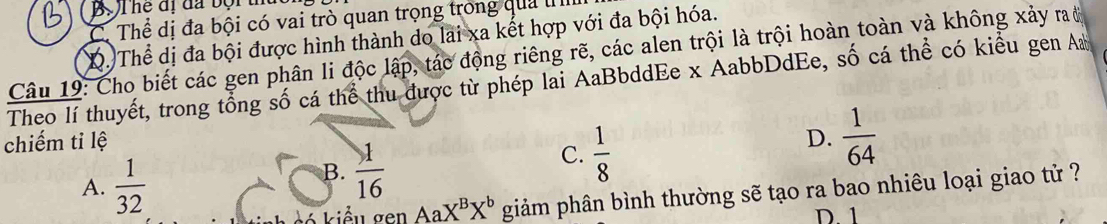 BộThệ đị đã bội u
C. Thể dị đa bội có vai trò quan trọng trong quả l
Q. Thể dị đa bội được hình thành do lai xa kết hợp với đa bội hóa.
Câu 19: Cho biết các gen phân li độc lập, tác động riêng rẽ, các alen trội là trội hoàn toàn và không xảy raờ
Theo lí thuyết, trong tổng số cá thể thu được từ phép lai AaBbddEe x AabbDdEe, số cá thể có kiểu gen A
chiếm tỉ lệ D.  1/64 
A.  1/32 
B.  1/16 
C.  1/8 
kiểu gen Aa X^BX^b giảm phân bình thường sẽ tạo ra bao nhiêu loại giao tử ?
D. 1