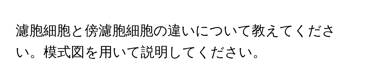 濾胞細胞と傍濾胞細胞の違いについて教えてください。模式図を用いて説明してください。