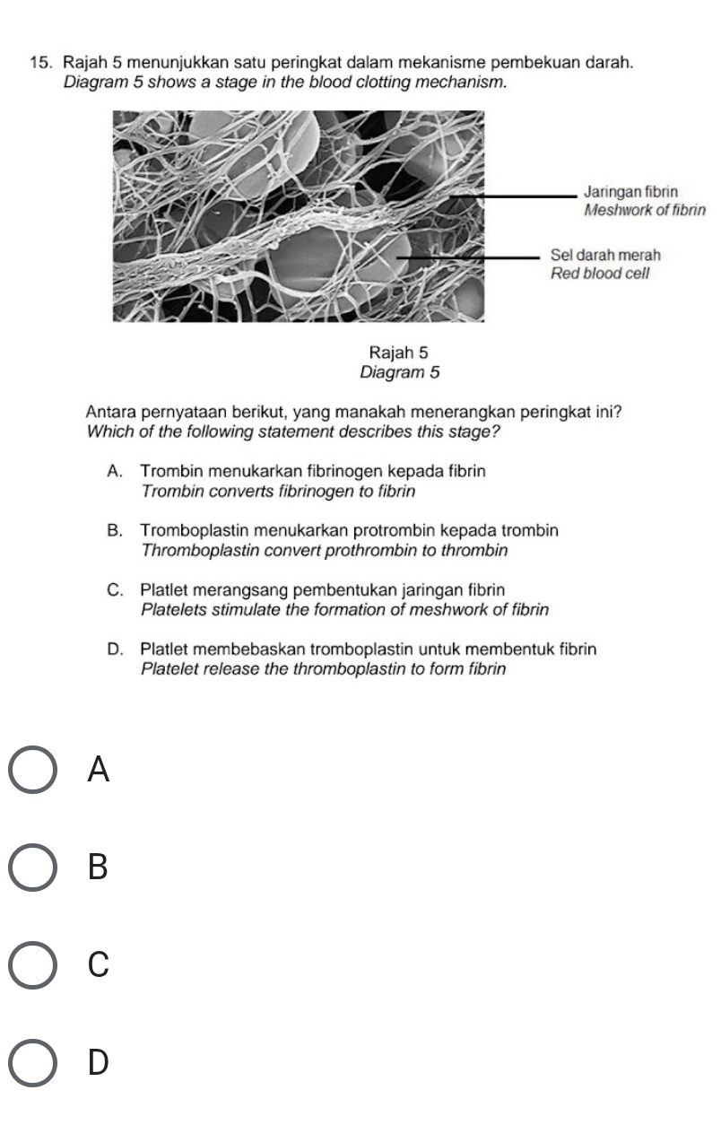 Rajah 5 menunjukkan satu peringkat dalam mekanisme pembekuan darah.
Diagram 5 shows a stage in the blood clotting mechanism.
Rajah 5
Diagram 5
Antara pernyataan berikut, yang manakah menerangkan peringkat ini?
Which of the following statement describes this stage?
A. Trombin menukarkan fibrinogen kepada fibrin
Trombin converts fibrinogen to fibrin
B. Tromboplastin menukarkan protrombin kepada trombin
Thromboplastin convert prothrombin to thrombin
C. Platlet merangsang pembentukan jaringan fibrin
Platelets stimulate the formation of meshwork of fibrin
D. Platlet membebaskan tromboplastin untuk membentuk fibrin
Platelet release the thromboplastin to form fibrin
A
B
C
D