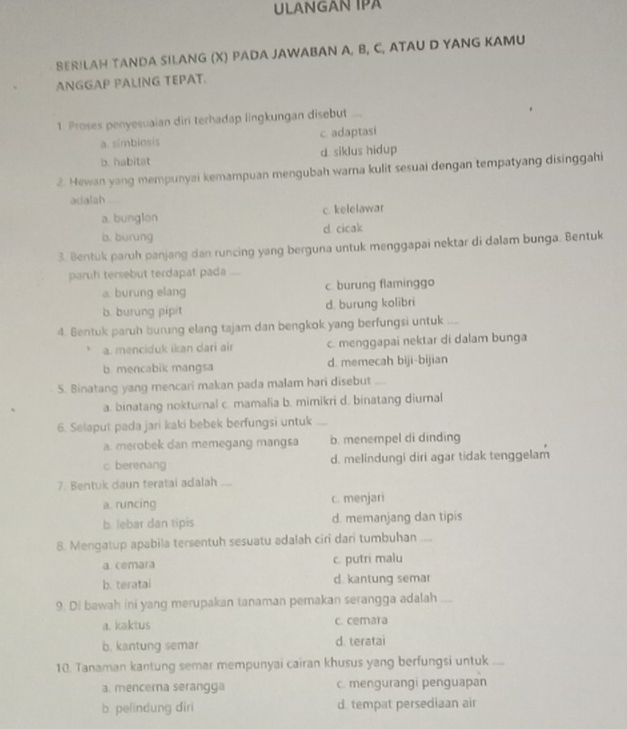 ULANGAN IPA
SER!LAH TANDA SILANG (X) PADA JAWABAN A, B, C, ATAU D YANG KAMU
ANGGAP PALING TEPAT.
1. Proses penyesuaian diri terhadap lingkungan disebut
a simbiosis c. adaptasi
b. habitat d siklus hidup
2. Hewan yang mempunyai kemampuan mengubah warna kulit sesuai dengan tempatyang disinggahi
adalah
a. bunglon c. kelelawar
b. burung d. cicak
3. Bentuk paruh panjang dan runcing yang berguna untuk menggapai nektar di dalam bunga. Bentuk
paruh tersebut terdapat pada ....
a. burung elang c. burung flaminggo
b. burung pipit d. burung kolibri
4. Gentuk paruh burung elang tajam dan bengkok yang berfungsi untuk
a. menciduk ikan dari air c. menggapai nektar di dalam bunga
b. mencabik mangsa d. memecah biji-bijian
5. Binatang yang mencari makan pada malam hari disebut_
a. binatang nokturnal c. mamalia b. mimikri d. binatang diurnal
6. Selaput pada jari kaki bebek berfungsi untuk .....
a. merobek dan memegang mangsa b. menempel di dinding
c. berenang d. melindungi diri agar tidak tenggelam
7. Bentuk daun teratai adalah_
a. runcing c. menjari
b. lebar dan tipis d. memanjang dan tipis
8. Mengatup apabila tersentuh sesuatu adalah ciri dari tumbuhan _
a cemara c. putri malu
b. teratai d. kantung semar
9. Di bawah ini yang merupakan tanaman pemakan serangga adalah ; .,.
a. kaktus c. cemara
b. kantung semar d. teratai
10. Tanaman kantung semar mempunyai cairan khusus yang berfungsi untuk . _
a. mencera serangga c. mengurangi penguapan
b pelindung diri d. tempat persediaan air