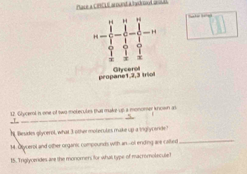 Place a CIRCLE around a hydroxyl graut.
n=beginarrayl n - 1/2 - 1/3 =frac ∈tlimits _i=1=n^n- 1/2 -n  1/2 - 1/n endarray.
Tamhic boles 
Glycerol 
propane1, 2, 3 triol 
_ 
_ 
12. Glycerol is one of two molecules that make up a monomer known as 
_I 
h. Besides glycerol, what 3 other molecules make up a triglycende? 
14. Glycerol and other organic compounds with an-ol ending are called 
_ 
15. Triglycerides are the monomers for what type of macromolecule?