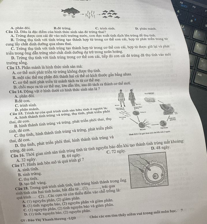 F8
G□
F9
&
8
9
A. phân đôi. B.đẻ trứng. C. trinh sinh. D. phân mảnh.
Câu 12. Đâu là đặc điểm của hình thức sinh sản đẻ trứng thai?
A. Trứng được con cái đẻ vào môi trường nước, con đực xuất tinh dịch lên trứng để thụ tinh.
B. Trứng thụ tinh với tinh trùng tạo thành hợp tử trong cơ thể con cái, hợp tử phát triển trong tử
cung lấy chất dinh dưỡng qua nhau thai.
C. Trứng thụ tinh với tinh trùng tạo thành hợp tử trong cơ thể con cái, hợp tử được giữ lại và phát
triển trong ống dẫn trứng nhờ chất dinh dưỡng dự trữ trong noãn hoàng.
D. Trứng thụ tinh với tinh trùng trong cơ thể con cái, tiếp đó con cái đẻ trứng đã thụ tinh vào môi
trường sống.
Câu 13. Phân mảnh là hình thức sinh sản mà:
A. cơ thể mới phát triển từ trứng không được thụ tinh.
B. một các thể mẹ phân đôi thành hai cá thể có kích thước gần bằng nhau.
Alt
C. cơ thể mới phát triển từ mảnh tách ra từ cơ thể mẹ.
D. chồi mọc ra từ cơ thể mẹ, lớn dần lên, sau đó tách ra thành cơ thể mới.
Câu 14. Động vật ở hình dưới có hình thức sinh sản là ?
A. phân đôi.
B.đẻ con.
C. trinh sinh.
D. phân mảnh.
Câu 15. Trình tự của quá trình sinh sản hữu tính ở người là:
A. hình thành tinh trùng và trứng, thụ tinh, phát triển phôi
thai, đẻ con.
B. hình thành tinh trùng và trứng, phát triển phôi thai, thụ
tinh, đẻ con.
C. thụ tinh, hình thành tinh trùng và trứng, phát triển phô
thai, đẻ con.
D. thụ tinh, phát triển phôi thai, hình thành tinh trùng và
Câu 16. Thời gian sinh sản tinh trùng tính từ tinh nguyên bảo đến khi tạo thành tinh trùng mắt khoảng:
trứng, đẻ con.
A. 32 ngày. B. 64 ngày. C. 72 ngày. D. 48 ngày.
Câu 17. Hình ảnh bên mô tả quá trình gì ?
A. sinh tinh.
B. sinh trứng.
C. thụ tinh.
D. tạo thể vàng.
Câu 18. Trong quá trình sinh tinh, tinh trùng hình thành trong ốn
sinh tinh của hai tinh hoàn, bắt đầu từ…(1)……, trải qua
quá trình ... (2)..Các cụm từ còn thiếu điền vào chỗ trống là:
A. (1) nguyên phân, (2) giảm phân.
B. (1) tinh nguyên bào, (2) nguyên phân và giảm phân.
C. (1) nguyên phân, (2) tinh nguyên bào và giảm phân.
D. (1) tinh nguyên bảo, (2) nguyên phân.
GV : Đào Thị Thanh Hương -LQĐ Chúc các em tìm thấy niềm vui trong mỗi môn học. 7