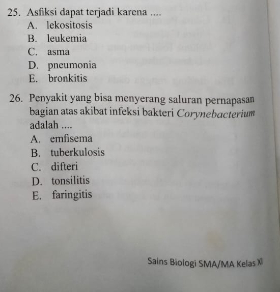 Asfiksi dapat terjadi karena ....
A. lekositosis
B. leukemia
C. asma
D. pneumonia
E. bronkitis
26. Penyakit yang bisa menyerang saluran pernapasan
bagian atas akibat infeksi bakteri Corynebacterium
adalah ....
A. emfisema
B. tuberkulosis
C. difteri
D. tonsilitis
E. faringitis
Sains Biologi SMA/MA Kelas XI