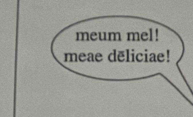 meum mel! 
meae dēliciae!