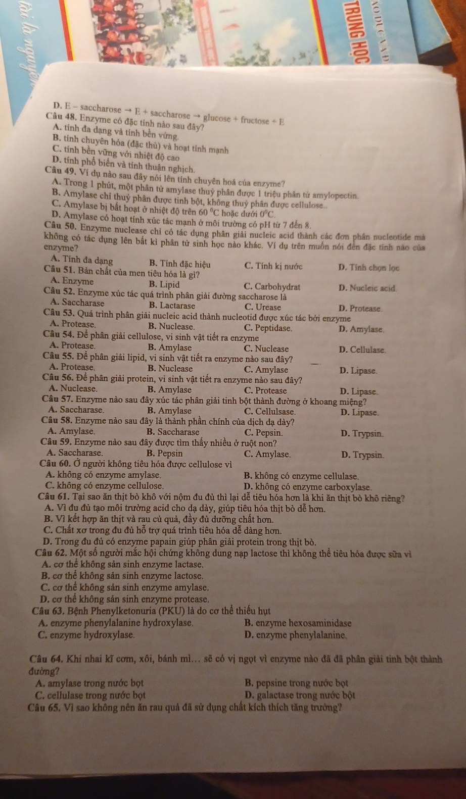 D. E - saccharose → E + saccharose → glucose + fructose +F
Câu 48. Enzyme có đặc tính nào sau đây?
A. tinh đa dạng và tính bền vứng
B. tính chuyên hóa (đặc thủ) và hoạt tinh mạnh
C. tính bền vững với nhiệt độ cao
D. tính phố biến và tính thuận nghịch.
Câu 49. Ví dụ nào sau đây nói lên tính chuyên hoá của enzyme?
A. Trong 1 phút, một phân tử amylase thuỷ phân được 1 triệu phân tử amylopectin.
B. Amylase chỉ thuỷ phân được tinh bột, không thuỷ phân được cellulose..
C. Amylase bị bất hoạt ở nhiệt độ trên 60°C hoặc dưới 0°C
D. Amylase có hoạt tính xúc tác mạnh ở môi trường có pH từ 7 đến 8.
Câu 50. Enzyme nuclease chỉ có tác dụng phân giải nucleic acid thành các đơn phân nucleotide mà
không có tác dụng lên bất kì phân từ sinh học nào khác. Ví dụ trên muồn nói đên đặc tính nào của
enzyme?
A. Tính đa dạng B. Tính đặc hiệu C. Tính kị nước
Câu 51. Bản chất của men tiêu hóa là gì? D. Tinh chọn lọc
A. Enzyme B. Lipid C. Carbohydrat D. Nucleic acid
Câu 52. Enzyme xúc tác quá trình phân giải đường saccharose là
A. Saccharase B. Lactarase C. Urease D. Protease
Câu 53. Quá trình phân giải nucleic acid thành nucleotid được xúc tác bởi enzyme
A. Protease. B. Nuclease. C. Peptidase. D. Amylase.
Câu 54. Để phân giải cellulose, vi sinh vật tiết ra enzyme
A. Protease. B. Amylase C. Nuclease D. Cellulase
Câu 55. Để phân giải lipid, vi sinh vật tiết ra enzyme nào sau đây?
A. Protease B. Nuclease C. Amylase D. Lipase.
Câu 56. Để phân giải protein, vi sinh vật tiết ra enzyme nào sau đây?
A. Nuclease B. Amylase C. Protease D. Lipase.
Câu 57. Enzyme nào sau đây xúc tác phân giải tinh bột thành đường ở khoang miệng?
A. Saccharase. B. Amylase C. Cellulsase. D. Lipase
Câu 58. Enzyme nào sau đây là thành phần chính của dịch dạ dày?
A. Amylase. B. Saccharase C. Pepsin. D. Trypsin.
Câu 59. Enzyme nào sau đây được tìm thấy nhiều ở ruột non?
A. Saccharase. B. Pepsin C. Amylase. D. Trypsin.
Câu 60. Ở người không tiêu hóa được cellulose vì
A. không có enzyme amylase. B. không có enzyme cellulase.
C. không có enzyme cellulose. D. không có enzyme carboxylase.
Câu 61. Tại sao ăn thịt bò khô với nộm đu đủ thì lại dễ tiêu hóa hơn là khi ăn thịt bò khô riêng?
A. Vì đu đủ tạo môi trường acid cho dạ dày, giúp tiêu hóa thịt bò dễ hơn.
B. Vì kết hợp ăn thịt và rau củ quả, đầy đủ dưỡng chất hơn.
C. Chất xơ trong đu đủ hỗ trợ quá trình tiêu hóa dễ dàng hơn.
D. Trong đu đủ có enzyme papain giúp phân giải protein trong thịt bò.
Câu 62. Một số người mắc hội chứng không dung nạp lactose thì không thể tiêu hóa được sửa vì
A. cơ thể không sản sinh enzyme lactase.
B. cơ thể không sản sinh enzyme lactose.
C. cơ thể không sản sinh enzyme amylase.
D. cơ thể không sản sinh enzyme protease.
Câu 63. Bệnh Phenylketonuria (PKU) là do cơ thể thiếu hụt
A. enzyme phenylalanine hydroxylase B. enzyme hexosaminidase
C. enzyme hydroxylase. D. enzyme phenylalanine.
Câu 64. Khi nhai kĩ cơm, xôi, bánh mì... sẽ có vị ngọt vì enzyme nào đã đã phân giải tinh bột thành
đường?
A. amylase trong nước bọt B. pepsine trong nước bọt
C. cellulase trong nước bọt D. galactase trong nước bột
Câu 65. Vì sao không nên ăn rau quả đã sử dụng chất kích thích tăng trưởng?