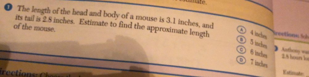 umate . 
❶ The length of the head and body of a mouse is 3.1 inches, and 
its tail is 2.8 inches. Estimate to find the approximate length 4 inches Irectione Soh 
of the mouse.
5 inches
Anthony war 
c 6 inches 2.8 hours los
7inches
irect 
Estimate_