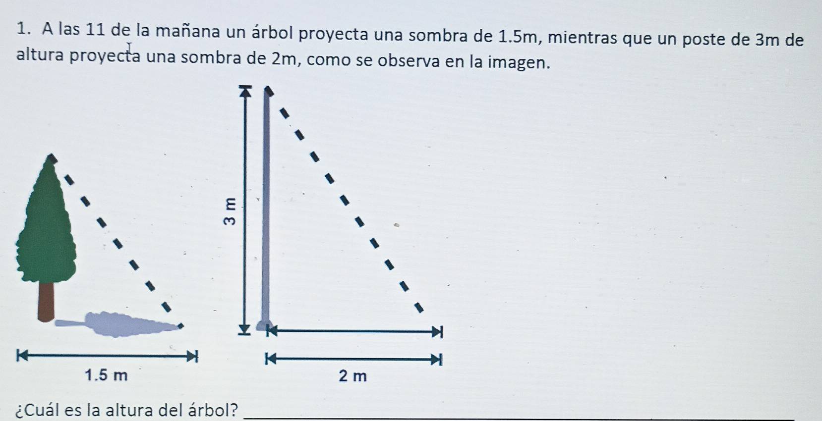 A las 11 de la mañana un árbol proyecta una sombra de 1.5m, mientras que un poste de 3m de 
altura proyecta una sombra de 2m, como se observa en la imagen.
1.5 m
¿Cuál es la altura del árbol?_