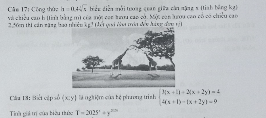 Công thức h=0.4sqrt[3](x) biểu diễn mối tương quan giữa cân nặng x (tính bằng kg) 
và chiều cao h (tính bằng m) của một con hươu cao cố. Một con hươu cao cổ có chiều cao
2,56m thì cân nặng bao nhiêu kg? (kết quả làm tròn đến hàng đơn vị) 
Câu 18: Biết cặp số (x;y) là nghiệm của hệ phương trình beginarrayl 3(x+1)+2(x+2y)=4 4(x+1)-(x+2y)=9endarray.
Tinh giá trị của biểu thức T=2025^x+y^(2026)