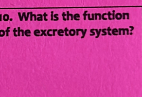 What is the function 
of the excretory system?