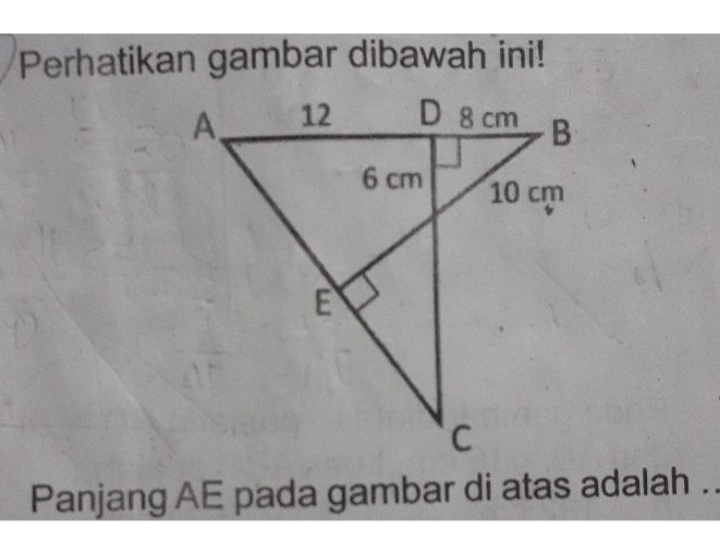 Perhatikan gambar dibawah ini! 
Panjang AE pada gambar di atas adalah .