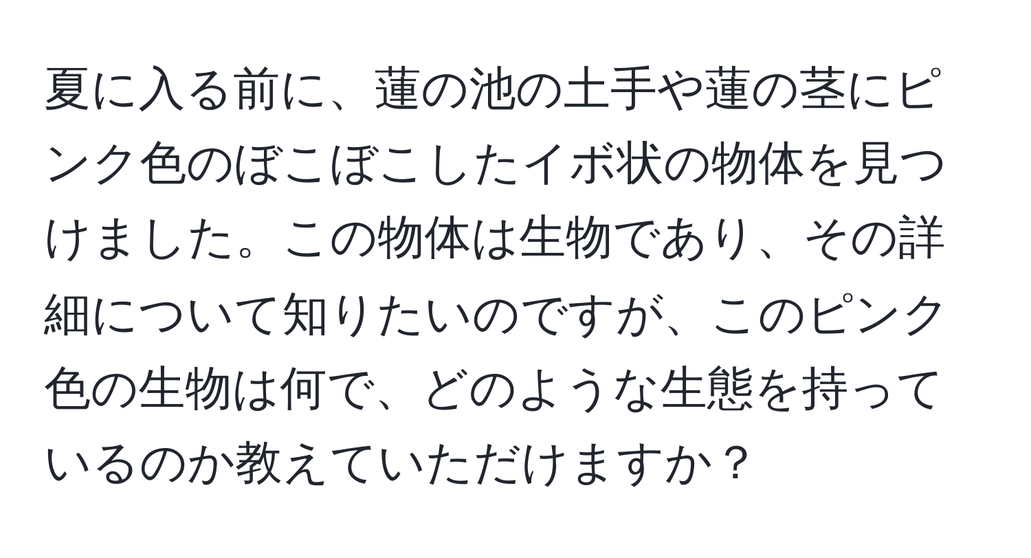 夏に入る前に、蓮の池の土手や蓮の茎にピンク色のぼこぼこしたイボ状の物体を見つけました。この物体は生物であり、その詳細について知りたいのですが、このピンク色の生物は何で、どのような生態を持っているのか教えていただけますか？