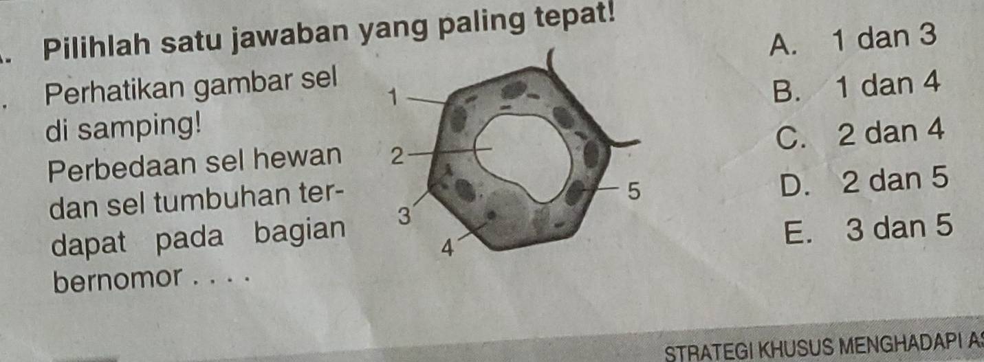 Pilihlah satu jawaban yang paling tepat!
Perhatikan gambar sel A. 1 dan 3
di samping!B. 1 dan 4
Perbedaan sel hewan C. 2 dan 4
dan sel tumbuhan ter-
D. 2 dan 5
dapat pada bagian
E. 3 dan 5
bernomor . . . .
STRATEGI KHUSUS MENGHADAPI A