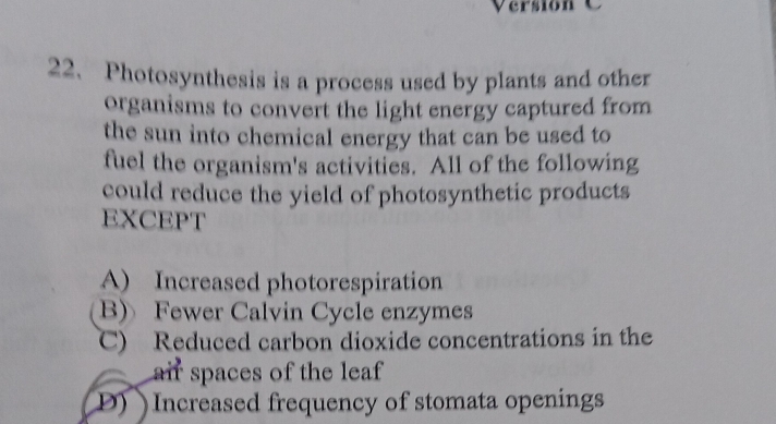 Version 
22. Photosynthesis is a process used by plants and other
organisms to convert the light energy captured from
the sun into chemical energy that can be used to
fuel the organism's activities. All of the following
could reduce the yield of photosynthetic products
EXCEPT
A) Increased photorespiration
B) Fewer Calvin Cycle enzymes
C) Reduced carbon dioxide concentrations in the
air spaces of the leaf
D) )Increased frequency of stomata openings