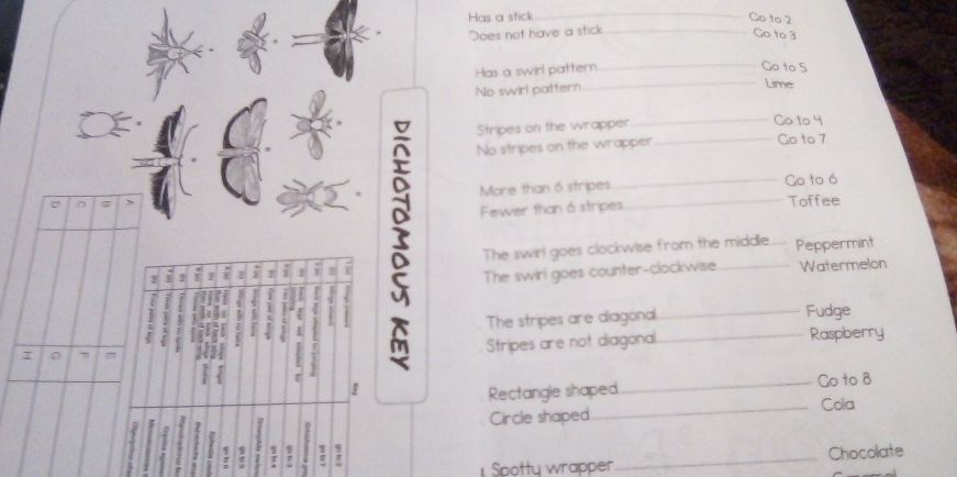 Has a stick_ 
Go to 2
Does not have a stick_ 
Go to 3
Has a swirl pattern 
_ 
Go to 5
No swirl pattern _Lime
7 a 
Stripes on the wrapper 
_Go to 4
No stripes on the wrapper _Go to 7
More than 6 stripes_ Go to 6
Fewer than 6 stripes _Toffee 
The swirl goes clockwise from the middle 
f 1 : i 2 _Peppermint 
The swirl goes counter-clockwise. Watermelon 
1 ` - 
The stripes are diagonal_ Fudge 
. m Stripes are not diagonal 
_Raspberry 
fi 1 
Rectangle shaped._ Go to 8
Circle shaped _Cola 
J l 5; H - 
- 
Spotty wrapper _Chocolate