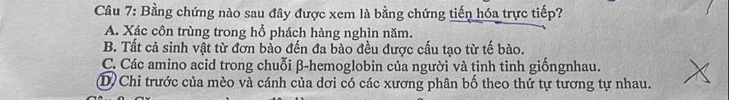 Bằng chứng nào sau đây được xem là bằng chứng tiến hóa trực tiếp?
A. Xác côn trùng trong hổ phách hàng nghìn năm.
B. Tất cả sinh vật từ đơn bào đến đa bào đều được cấu tạo từ tế bào.
C. Các amino acid trong chuỗi β -hemoglobin của người và tinh tinh giốngnhau.
D) Chi trước của mèo và cánh của dơi có các xương phân bố theo thứ tự tương tự nhau.