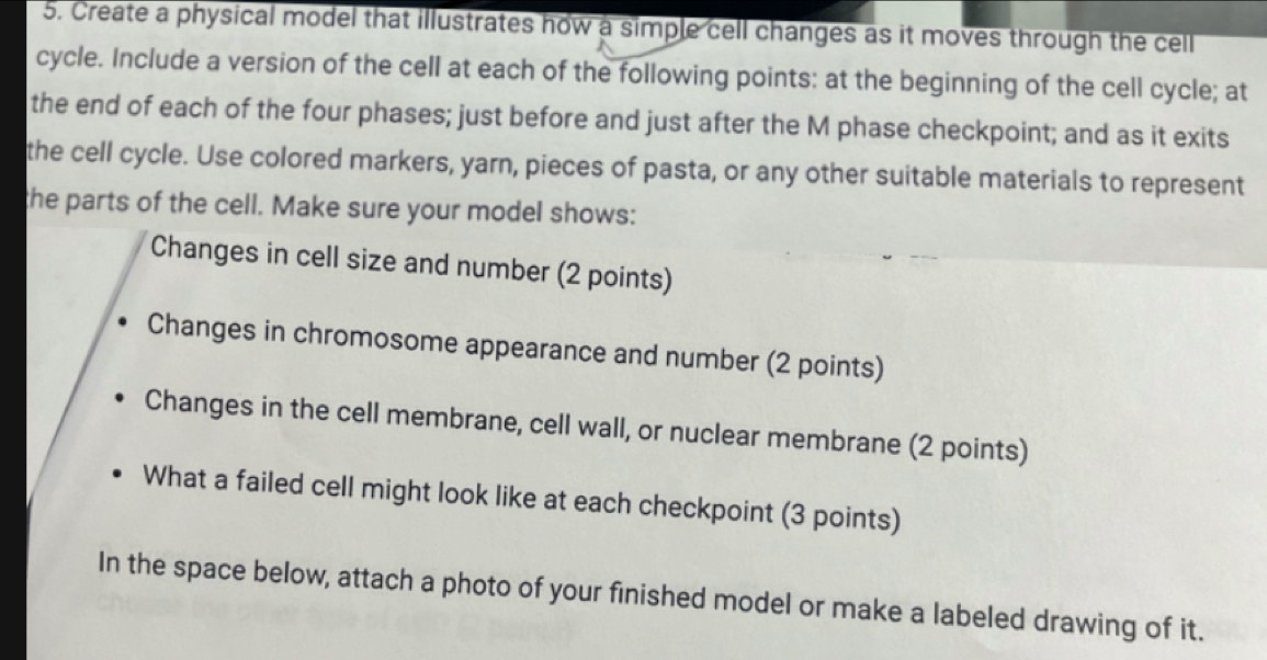 Solved: Create a physical model that illustrates how a simple cell ...