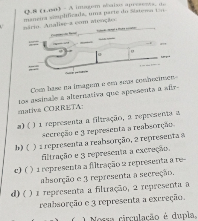 8 (1.00) - A imagem abaixo apresenta. de
maneira simplificada, uma parte do Sistema Uri-
V e-a com atenção:
Com base na imagem e em seus conhec
tos assinale a alternativa que apresenta a afir-
mativa CORRETA:
a) ( ) 1 representa a filtração, 2 representa a
secreção e 3 representa a reabsorção.
b) ( ) 1 representa a reabsorção, 2 representa a
filtração e 3 representa a excreção.
c) ( ) 1 representa a filtração 2 representa a re-
absorção e 3 representa a secreção.
d) ( ( ) 1 representa a filtração, 2 representa a
reabsorção e 3 representa a excreção.
( Nossa circulação é dupla,