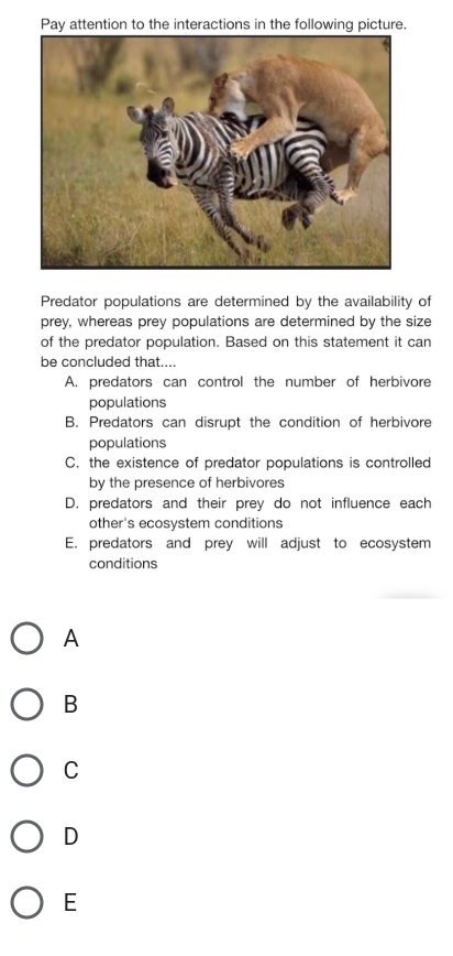 Pay attention to the interactions in the following picture.
Predator populations are determined by the availability of
prey, whereas prey populations are determined by the size
of the predator population. Based on this statement it can
be concluded that....
A. predators can control the number of herbivore
populations
B. Predators can disrupt the condition of herbivore
populations
C. the existence of predator populations is controlled
by the presence of herbivores
D. predators and their prey do not influence each
other's ecosystem conditions
E. predators and prey will adjust to ecosystem
conditions
A
B
C
D
E