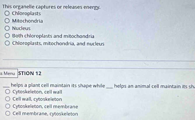 This organelle captures or releases energy.
Chloroplasts
Mitochondria
Nucleus
Both chloroplasts and mitochondria
Chloroplasts, mitochondria, and nucleus
s Menu STION 12
_helps a plant cell maintain its shape while _helps an animal cell maintain its sh
Cytoskeleton, cell wall
Cell wall, cytoskeleton
Cytoskeleton, cell membrane
Cell membrane, cytoskeleton