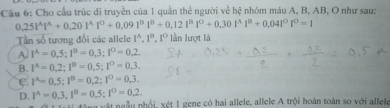 Cho cấu trúc di truyền của 1 quần thể người về hệ nhóm máu A, B, AB, O như sau:
0,25I^AI^A+0, 20I^AI^0+0,09I^BI^B+0, 12I^BI^0+0,30I^AI^B+0,04I^0I^0=1
Tần số tương đối các allele I^A, I^B, I^O lần lượt là
A I^A=0,5; I^B=0,3; I^O=0,2.
B. I^A=0,2; I^B=0,5; I^0=0,3.
C. I^A=0,5; I^B=0,2; I^0=0,3.
D. I^(wedge)=0,3, I^B=0,5; I^0=0,2. 
đ ng v ật ngẫu phối, xét 1 gene có hai allele, allele A trội hoàn toàn so với allele