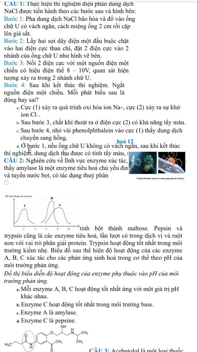 CAU 1: Thực hiện thi nghiệm điện phần dung dịch
NaCl được tiển hành theo các bước sau và hình bên:
Bước 1: Pha dung dịch NaCl bão hòa và đồ vào ống
chữ U có vách ngăn, cách miệng ống 2 cm rồi cặp
lên giá sắt.
Bước 2: Lấy hai sợi dây điện một đầu buộc chặt
vào hai điện cực than chì, đặt 2 điện cực vào 2
nhánh của ống chữ U như hình vẽ bên.
Bước 3: Nổi 2 điện cực với một nguồn điện một
chiều có hiệu điện thế 8 - 10V, quan sát hiện
tượng xảy ra trong 2 nhánh chữ U.
Bước 4: Sau khi kết thúc thí nghiệm. Ngắt
nguồn điện một chiều. Mỗi phát biểu sau là
đúng hay sai?
a Cực (1) xảy ra quá trình oxi hóa ion Na+, cực (2) xảy ra sự khử
ion Cl-.
B. Sau bước 3, chất khí thoát ra ở điện cực (2) có khả năng tẩy màu.
.. Sau bước 4, nhỏ vài phenolphthalein vào cực (1) thấy dung dịch
chuyển sang hồng.
hoá 12
đỞ bước 1, nếu ống chữ U không có vách ngăn, sau khi kết thúc
thí nghiệm, dung dịch thu được có tính tầy màu, s
CÂU 2: Nghiên cứu về lĩnh vực enzyme xúc tác,
thấy amylase là một enzyme tiêu hoá chủ yếu đưc
và tuyển nước bọt, có tác dụng thuỷ phân Vi khuản Ideonella sakaiensis ăn nhợn (giáp phân huý sinh học)
ột thành maltose. Pepsin và
trypsin cũng là các enzyme tiêu hoá, lần lượt có trong dịch vị và ruột
non với vại trò phân giải protein. Trypsin hoạt động tốt nhất trong môi
trường kiểm nhẹ. Biểu đồ sau thể hiện độ hoạt động của các enzyme
A, B, C xúc tác cho các phản ứng sinh hoá trong cơ thể theo pH của
môi trường phản ứng.
Đồ thị biểu diễn độ hoạt động của enzyme phụ thuộc vào pH của môi
trường phản ứng.
a. Mỗi enzyme A, B, C hoạt động tốt nhất ứng với một giá trị pH
khác nhau.
B Enzyme C hoạt động tốt nhất trong môi trường base.
. Enzyme A là amylase.
a. Enzyme C là pepsine.
3: Acebutolel là một loại thuốc