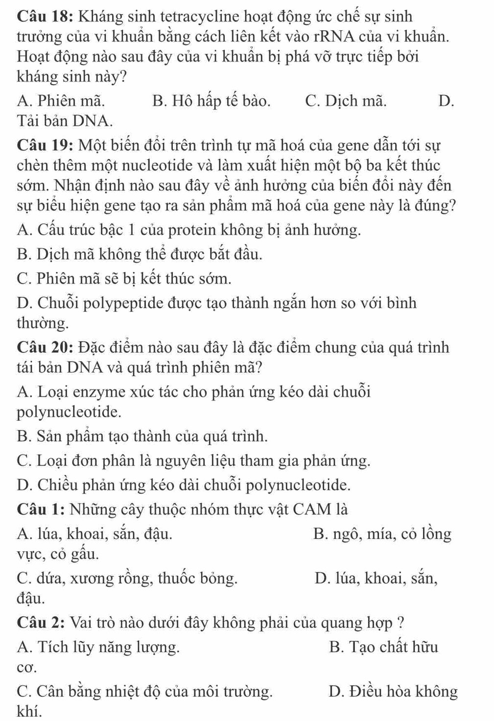 Kháng sinh tetracycline hoạt động ức chế sự sinh
trưởng của vi khuần bằng cách liên kết vào rRNA của vi khuẩn.
Hoạt động nào sau đây của vi khuẩn bị phá vỡ trực tiếp bởi
kháng sinh này?
A. Phiên mã. B. Hô hấp tế bào. C. Dịch mã. D.
Tải bản DNA.
Câu 19: Một biến đổi trên trình tự mã hoá của gene dẫn tới sự
chèn thêm một nucleotide và làm xuất hiện một bộ ba kết thúc
sớm. Nhận định nào sau đây về ảnh hưởng của biến đổi này đến
sự biểu hiện gene tạo ra sản phẩm mã hoá của gene này là đúng?
A. Cấu trúc bậc 1 của protein không bị ảnh hưởng.
B. Dịch mã không thể được bắt đầu.
C. Phiên mã sẽ bị kết thúc sớm.
D. Chuỗi polypeptide được tạo thành ngắn hơn so với bình
thường.
Câu 20: Đặc điểm nào sau đây là đặc điểm chung của quá trình
tái bản DNA và quá trình phiên mã?
A. Loại enzyme xúc tác cho phản ứng kéo dài chuỗi
polynucleotide.
B. Sản phầm tạo thành của quá trình.
C. Loại đơn phân là nguyên liệu tham gia phản ứng.
D. Chiều phản ứng kéo dài chuỗi polynucleotide.
Câu 1: Những cây thuộc nhóm thực vật CAM là
A. lúa, khoai, sắn, đậu. B. ngô, mía, cỏ lồng
vực, cỏ gấu.
C. dứa, xương rồng, thuốc bỏng. D. lúa, khoai, sắn,
đậu.
Câu 2: Vai trò nào dưới đây không phải của quang hợp ?
A. Tích lũy năng lượng. B. Tạo chất hữu
cơ.
C. Cân bằng nhiệt độ của môi trường. D. Điều hòa không
khí.