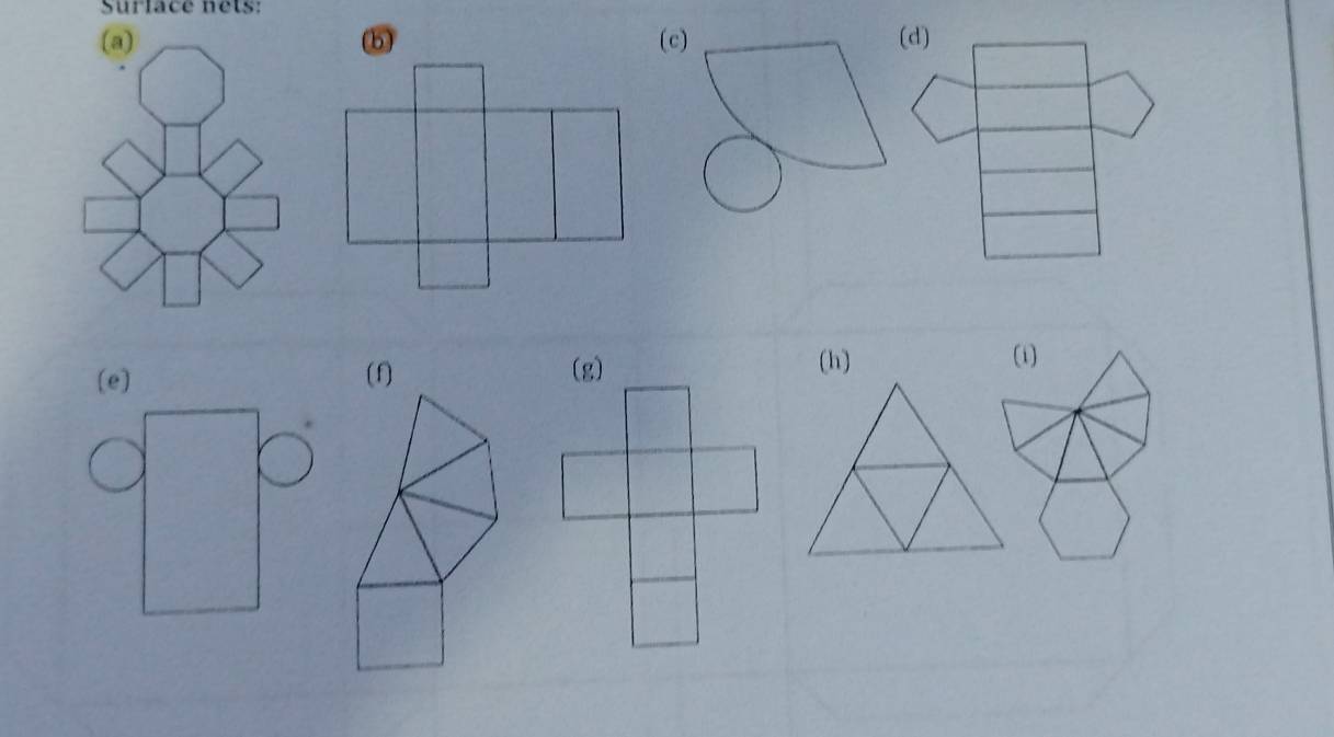 Surlace nets: 
(a) b (c) (d) 
(f) 
(h) (i)