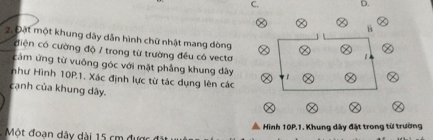 overline B. Đặt một khung dây dẫn hình chữ nhật mang dòng 
điện có cường độ / trong từ trường đều có vectơ 
cảm ứng từ vuông góc với mặt phẳng khung dây 
như Hình 10P.1. Xác định lực từ tác dụng lên các 
cạnh của khung dây. 
Hình 10P.1. Khung dây đặt trong từ trường 
Một đoạn dây dài 15 cm đ ư ợ ở