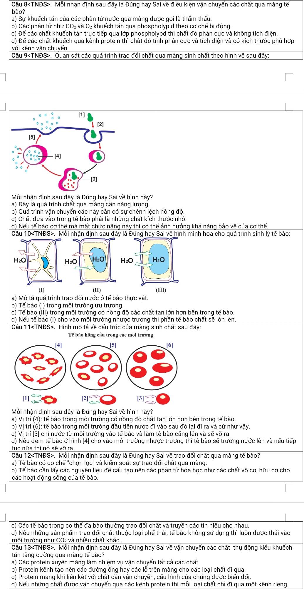 Câu 8. Mỗi nhận định sau đây là Đúng hay Sai về điều kiện vận chuyển các chất qua màng tế
bào?
a) Sự khuếch tán của các phân tử nước qua màng được gọi là thẩm thấu.
b) Các phân tử như CO₂ và O₂ khuếch tán qua phospholypid theo cơ chế bị động.
c) Để các chất khuếch tán trực tiếp qua lớp phospholypd thì chất đó phân cực và không tích điện.
d) Để các chất khuếch qua kênh protein thì chất đó tính phân cực và tích điện và có kích thước phù hợp
với kênh vận chuyển.
Câu 9. Quan sát các quá trình trao đổi chất qua màng sinh chất theo hình vẽ sau đây:
Mỗi nhận định sau đây là Đúng hay Sai về hình này?
a) Đây là quá trình chất qua màng cần năng lượng.
b) Quá trình vận chuyển các này cần có sự chênh lệch nồng độ.
c) Chất đưa vào trong tế bào phải là những chất kích thước nhỏ.
d) Nếu tế bào cơ thể mà mất chức năng này thì có thể ảnh hưởng khả năng bảo vệ của cơ thể.
Câu 10. Mỗi nhận định sau đây là Đúng hay Sai về hình minh họa cho quá trình sinh lý tế bào:
H₂O H₂O H₂O H₂O H₂O
(I) (11) (1II)
a) Mô tả quá trình trao đổi nước ở tế bào thực vật.
b) Tế bào (I) trong môi trường ưu trương.
c) Tế bào (III) trong môi trường có nồng độ các chất tan lớn hơn bên trong tế bào.
d) Nếu tế bào (I) cho vào môi trường nhược trương thì phần tế bào chất sẽ lớn lên.
Câu 11. Hình mô tả về cấu trúc của màng sinh chất sau đây:
Tế bào hồng cầu trong các môi trường
Mỗi nhận định sau đây là Đúng hay Sai về hình này?
a) Vị trí (4): tế bào trong môi trường có nồng độ chất tan lớn hơn bên trong tế bào.
b) Vị trí (6): tế bào trong môi trường đầu tiên nước đi vào sau đó lại đi ra và cứ như vậy.
c) Vị trí [3] chỉ nước từ môi trường vào tế bào và làm tế bào căng lên và sẽ vỡ ra.
d) Nếu đem tế bào ở hình [4] cho vào môi trường nhược trương thì tế bào sẽ trương nước lên và nếu tiếp
tục nữa thì nó sẽ vỡ ra
Câu 12. Mỗi nhận định sau đây là Đúng hay Sai về trao đổi chất qua màng tế bào?
a) Tế bào có cơ chế "chọn lọc" và kiểm soát sự trao đổi chất qua màng.
b) Tế bào cần lấy các nguyên liệu để cấu tạo nên các phân tử hóa học như các chất vô cơ, hữu cơ cho
các hoạt động sống của tế bào.
c) Các tế bào trong cơ thể đa bào thường trao đổi chất và truyền các tín hiệu cho nhau.
d) Nếu những sản phẩm trao đổi chất thuộc loại phế thải, tế bào không sử dụng thì luôn được thải vào
môi trường như CO₂ và nhiều chất khác.
Câu 13. Mỗi nhận định sau đây là Đúng hay Sai về vận chuyển các chất thụ động kiểu khuếch
tán tăng cường qua màng tế bào?
a) Các protein xuyên màng làm nhiệm vụ vận chuyển tất cả các chất.
b) Protein kênh tạo nên các đường ống hay các lỗ trên màng cho các loại chất đi qua.
c) Protein mang khi liên kết với chất cần vận chuyển, cấu hình của chúng được biến đổi.
d) Nếu những chất được vận chuyển qua các kênh protein thì mỗi loại chất chỉ đi qua một kênh riêng.