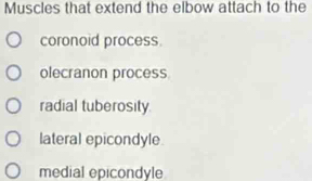 Muscles that extend the elbow attach to the
coronoid process.
olecranon process
radial tuberosity.
lateral epicondyle.
medial epicondyle