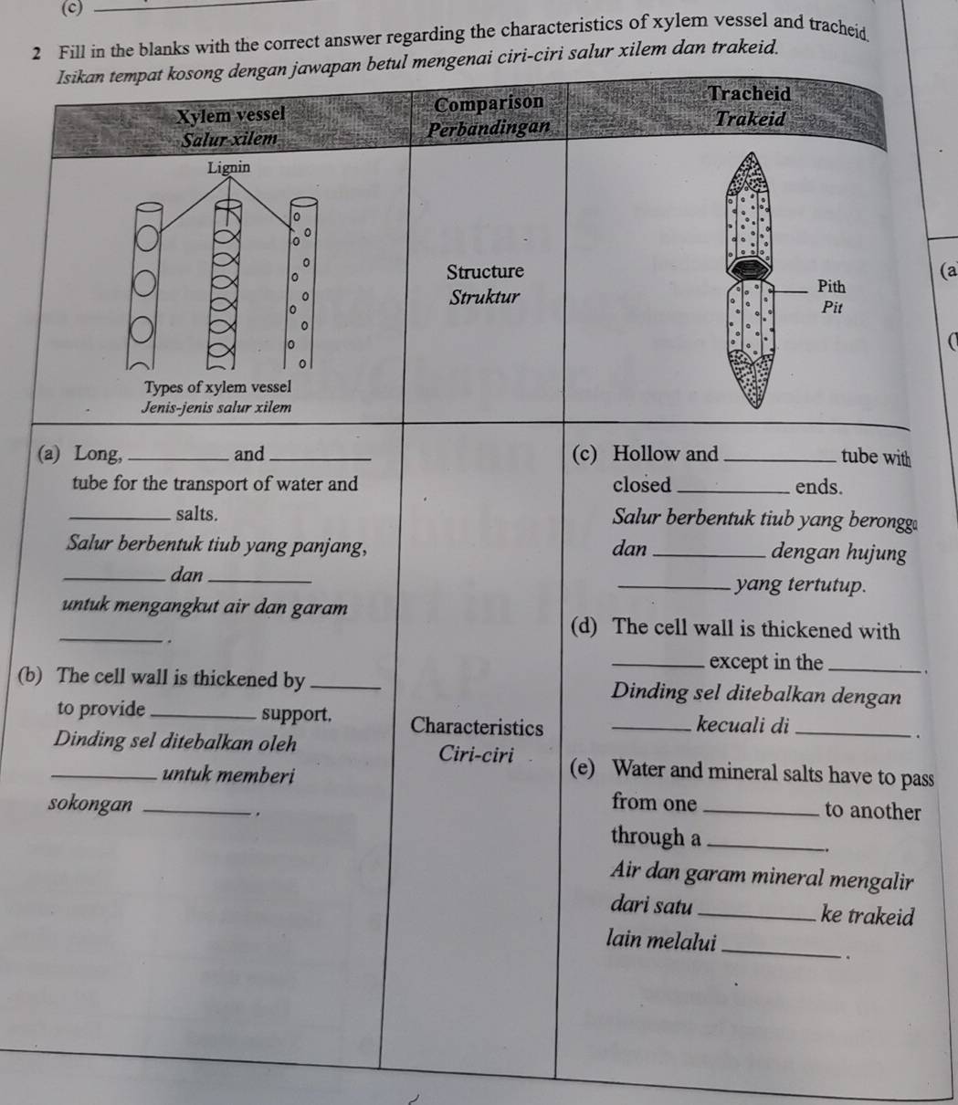 Fill in the blanks with the correct answer regarding the characteristics of xylem vessel and tracheid 
Isikan tempat kosong dengan jawapan betul mengenai ciri-ciri salur xilem dan trakeid. 
Tracheid 
Xylem vessel Comparison Trakeid 
Salur xilem Perbandingan 
Lignin 
。 
^ 
0 
0 
。 
Structure (a 
0 
Pith 
Struktur Pit 
0 
Types of xylem vessel 
Jenis-jenis salur xilem 
(a) Long, _and_ (c) Hollow and _tube with 
tube for the transport of water and closed _ends. 
_salts. Salur berbentuk tiub yang berongg 
Salur berbentuk tiub yang panjang, dan_ 
dengan hujung 
_dan_ _yang tertutup. 
untuk mengangkut air dan garam 
_ 
. 
(d) The cell wall is thickened with 
_except in the_ 

(b) The cell wall is thickened by_ Dinding sel ditebalkan dengan 
to provide_ support. Characteristics _kecuali di_ 
. 
_Dinding sel ditebalkan oleh Ciri-ciri (e) Water and mineral salts have to pass 
untuk memberi 
sokongan _from one_ 
. to another 
through a_ 
.. 
Air dan garam mineral mengalir 
dari satu_ ke trakeid 
lain melalui_ 
..