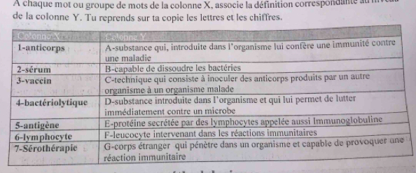 Solved: A chaque mot ou groupe de mots de la colonne X, associe la ...