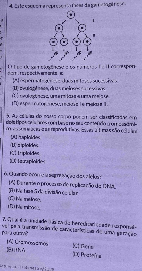 Este esquema representa fases da gametogênese.
a
)-
-
r
e
)
。 O tipo de gametogênese e os números I e II correspon-
dem, respectivamente, a:
(A) espermatogênese, duas mitoses sucessivas.
(B) ovulogênese, duas meioses sucessivas.
(C) ovulogênese, uma mitose e uma meiose.
(D) espermatogênese, meiose I e meiose II.
5. As células do nosso corpo podem ser classificadas em
dois tipos celulares com base no seu conteúdo cromossômi-
co: as somáticas e as reprodutivas. Essas últimas são células
(A) haploides.
(B) diploides.
(C) triploides.
(D) tetraploides.
6. Quando ocorre a segregação dos alelos?
(A) Durante o processo de replicação do DNA.
(B) Na fase S da divisão celular.
(C) Na meiose.
(D) Na mitose.
7. Qual é a unidade básica de hereditariedade responsá-
vel pela transmissão de características de uma geração
para outra?
(A) Cromossomos (C) Gene
(B) RNA (D) Proteína
latureza -1^(_ circ) Bimestre/2025