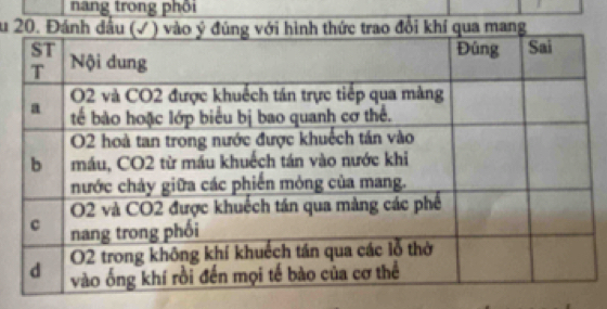 nang trong phối 
Su