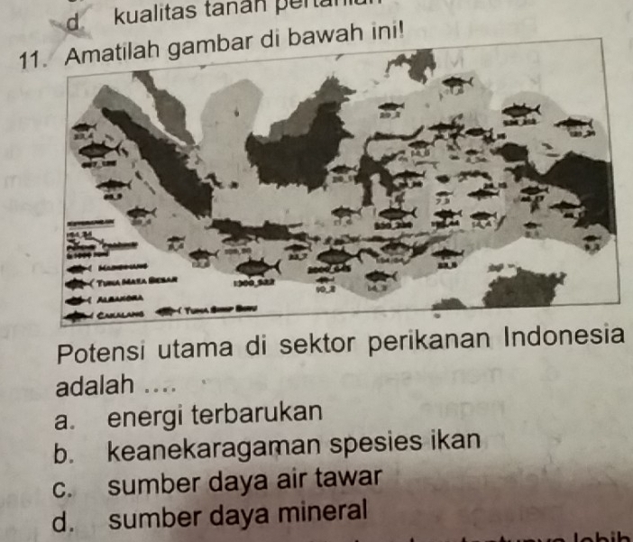 kualitas tanán pertal
1i bawah ini!
Potensi utama di sektor perikanan Indonesia
adalah ....
a. energi terbarukan
b. keanekaragaman spesies ikan
c. sumber daya air tawar
d. sumber daya mineral