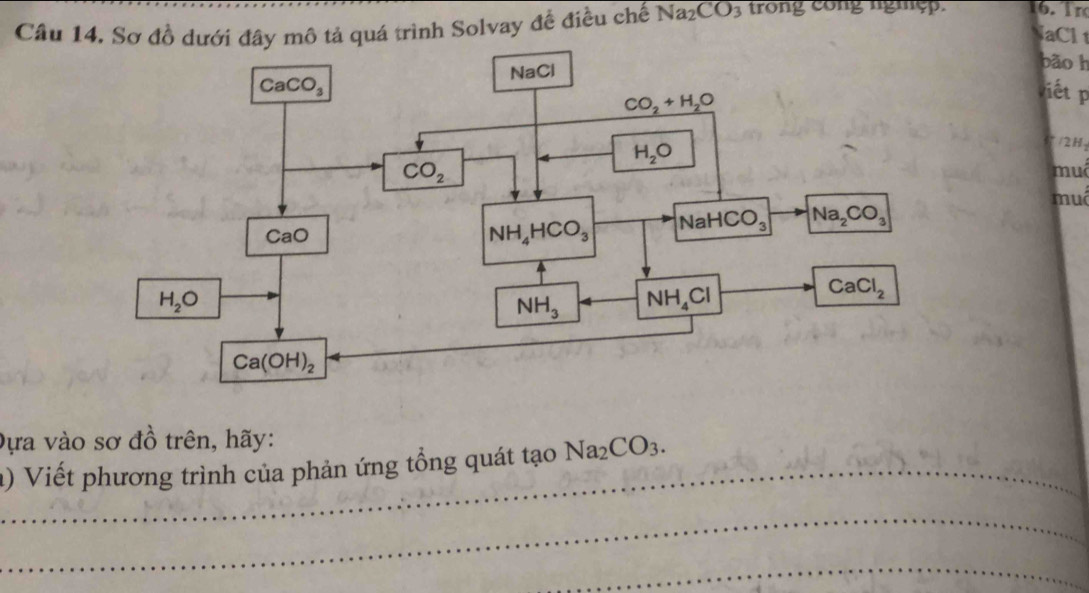 Sơ đồ dưới đây mô tả quá trình Solvay đề điều chế Na_2CO_3 trong cong ngiệp 16.1n
NaCl
bão h
viết p
* /2H:
muô
muô
Dựa vào sơ đồ trên, hãy:
_1) Viết phương trình của phản ứng tổng quát tạo Na_2CO_3.
_
_