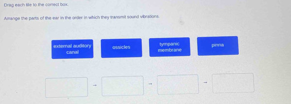 Drag each tile to the correct box.
Arrange the parts of the ear in the order in which they transmit sound vibrations.
tympanic
external auditory ossicles membrane pinna
canal