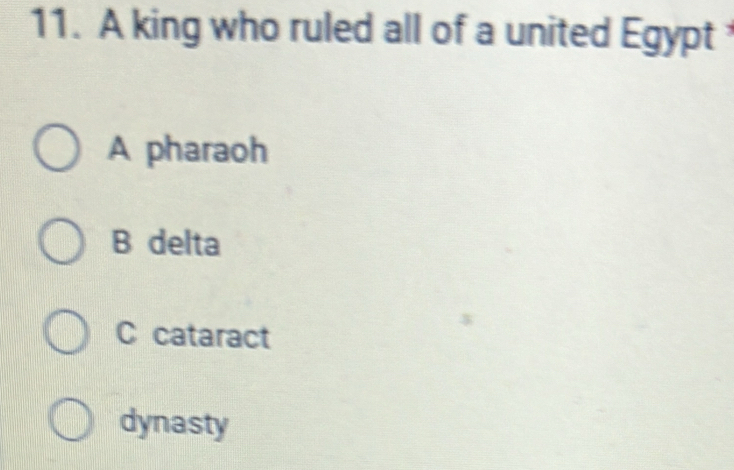 A king who ruled all of a united Egypt
A pharaoh
B delta
C cataract
dynasty