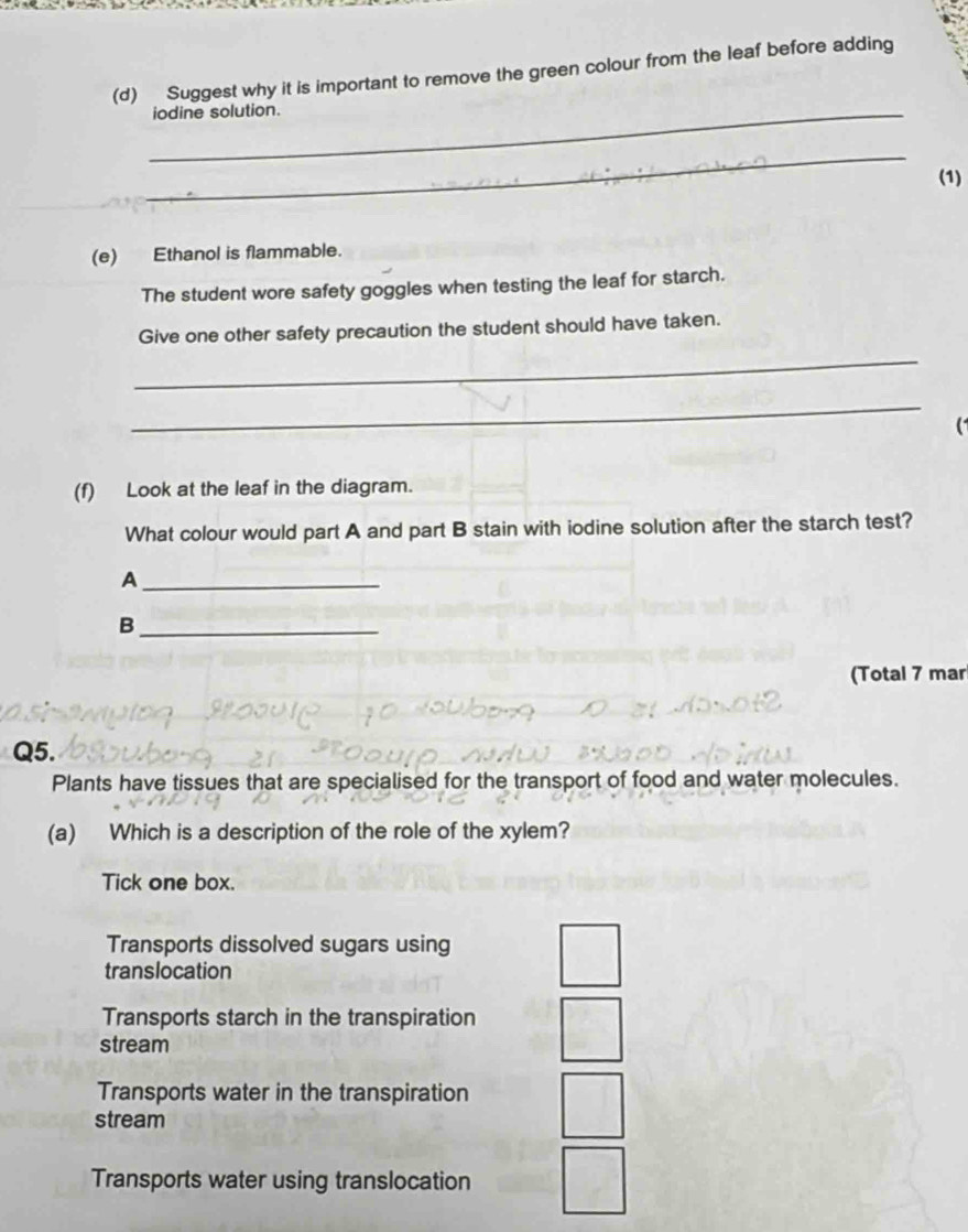 Suggest why it is important to remove the green colour from the leaf before adding
_iodine solution.
_
(1)
(e) Ethanol is flammable.
The student wore safety goggles when testing the leaf for starch.
Give one other safety precaution the student should have taken.
_
_
(f) Look at the leaf in the diagram.
What colour would part A and part B stain with iodine solution after the starch test?
_A
_B
(Total 7 mar
Q5.
Plants have tissues that are specialised for the transport of food and water molecules.
(a) Which is a description of the role of the xylem?
Tick one box.
Transports dissolved sugars using
translocation
Transports starch in the transpiration
stream
Transports water in the transpiration
stream
Transports water using translocation