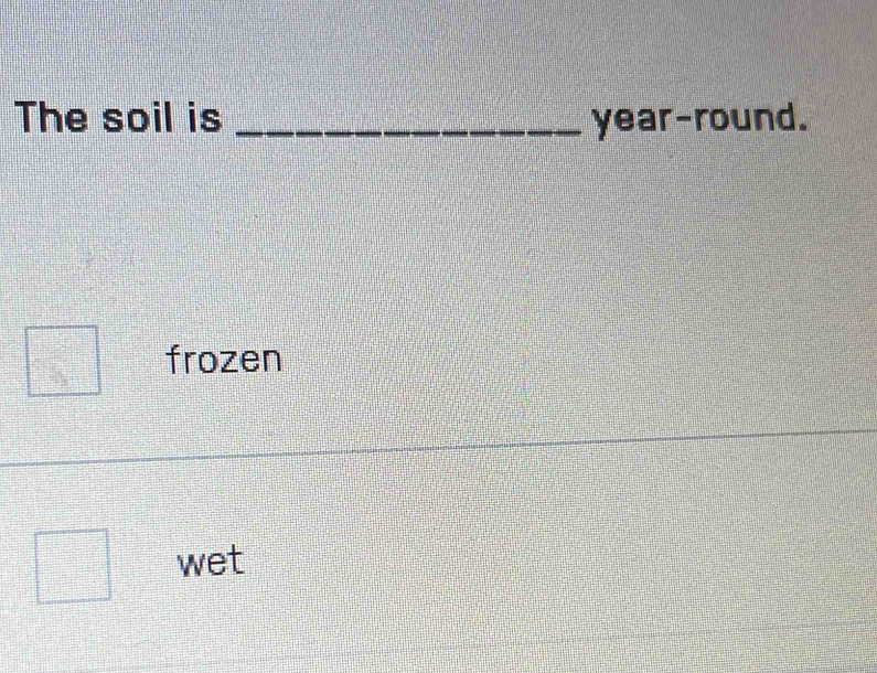 The soil is _year-round.
frozen
wet