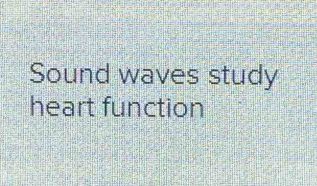 Sound waves study 
heart function