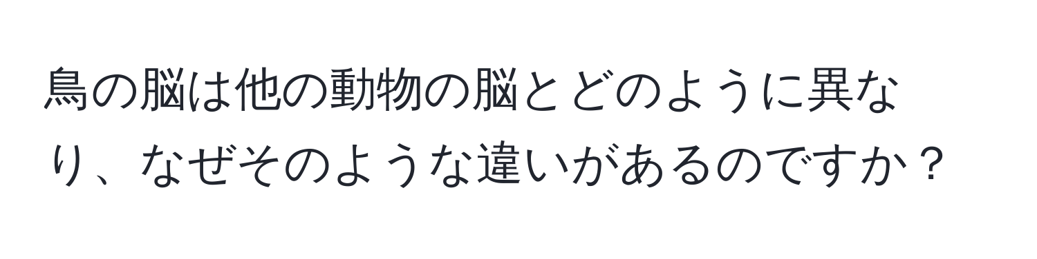 鳥の脳は他の動物の脳とどのように異なり、なぜそのような違いがあるのですか？
