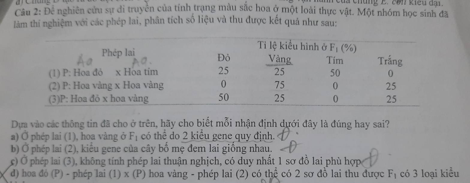 mang D đ
n của chủng E. con kiểu đại.
Câu 2: Đề nghiên cửu sự di truyền của tính trạng màu sắc hoa ở một loài thực vật. Một nhóm học sinh đã
làm thí nghiệm với các phép lai, phân tích số liệu và thu được kết quả như sau:
Dựa vào các thông tin đã cho ở trên, hãy cho biết mỗi nhận định dưới đây là đúng hay sai?
a) Ở phép lai (1), hoa vàng ở F_1 có thể do 2 kiểu gene quy định.
b) Ở phép lai (2), kiểu gene của cây bố mẹ đem lai giống nhau.
c) Ở phép lai (3), không tính phép lai thuận nghịch, có duy nhất 1 sơ đồ lai phù hợp
d) hoa đỏ (P) - phép lai (1) x (P) hoa vàng - phép lai (2) có thể có 2 sơ đồ lai thu được F_1 có 3 loại kiều