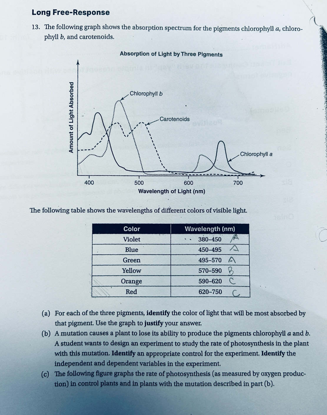 Long Free-Response 
13. The following graph shows the absorption spectrum for the pigments chlorophyll a, chloro- 
phyll b, and carotenoids. 
The following table shows the wavelengths of different colors of visible light. 
(a) For each of the three pigments, identify the color of light that will be most absorbed by 
that pigment. Use the graph to justify your answer. 
(b) A mutation causes a plant to lose its ability to produce the pigments chlorophyll a and b. 
A student wants to design an experiment to study the rate of photosynthesis in the plant 
with this mutation. Identify an appropriate control for the experiment. Identify the 
independent and dependent variables in the experiment. 
(c) The following figure graphs the rate of photosynthesis (as measured by oxygen produc- 
tion) in control plants and in plants with the mutation described in part (b).