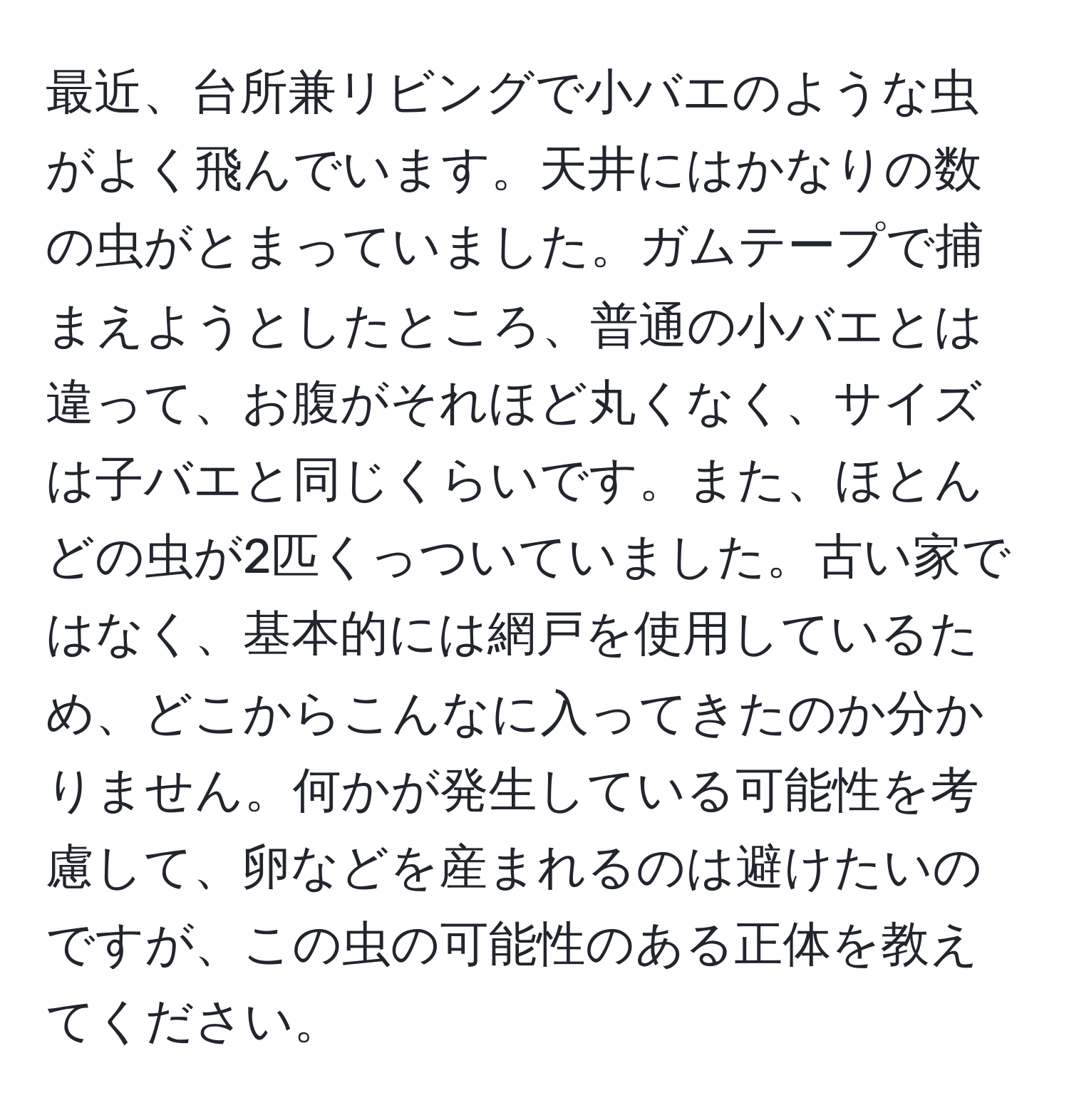 最近、台所兼リビングで小バエのような虫がよく飛んでいます。天井にはかなりの数の虫がとまっていました。ガムテープで捕まえようとしたところ、普通の小バエとは違って、お腹がそれほど丸くなく、サイズは子バエと同じくらいです。また、ほとんどの虫が2匹くっついていました。古い家ではなく、基本的には網戸を使用しているため、どこからこんなに入ってきたのか分かりません。何かが発生している可能性を考慮して、卵などを産まれるのは避けたいのですが、この虫の可能性のある正体を教えてください。