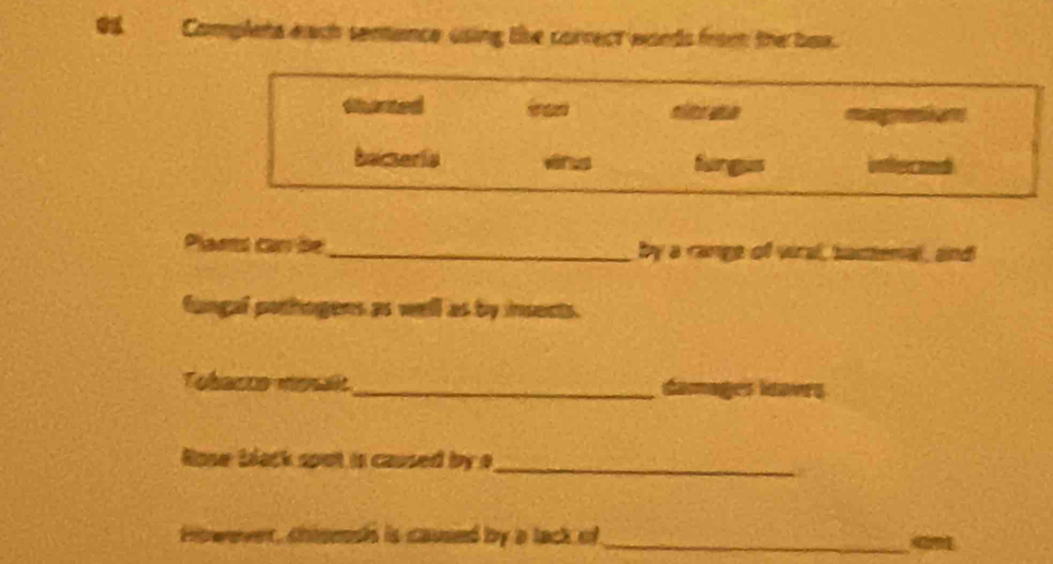 Complets each senence using te correct words from the box. 
tarted inan 
beiseria fingus 
Plants car de _by a range of wral, tamenal, and 
fangal pothogens as well as by insects. 
Tobacco mosait_ damages ieaves 
Rose black sput is caused by e_ 
However, chionsh is caused by a tack of_